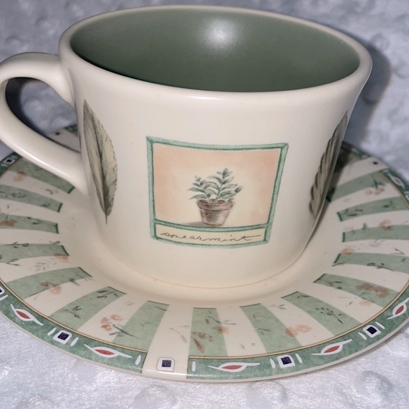 Pfaltzgraff Other - 🍗 5/$20 Clearance Item - Pfaltzgraff Naturewood Flat Cup and Saucer set